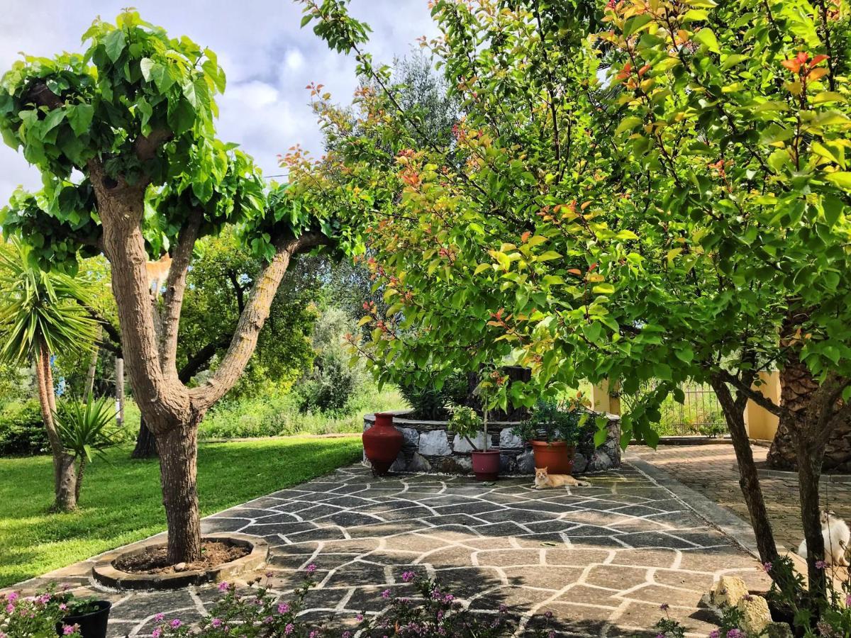 Pansion Episkopi Studios Skopelos Exterior foto