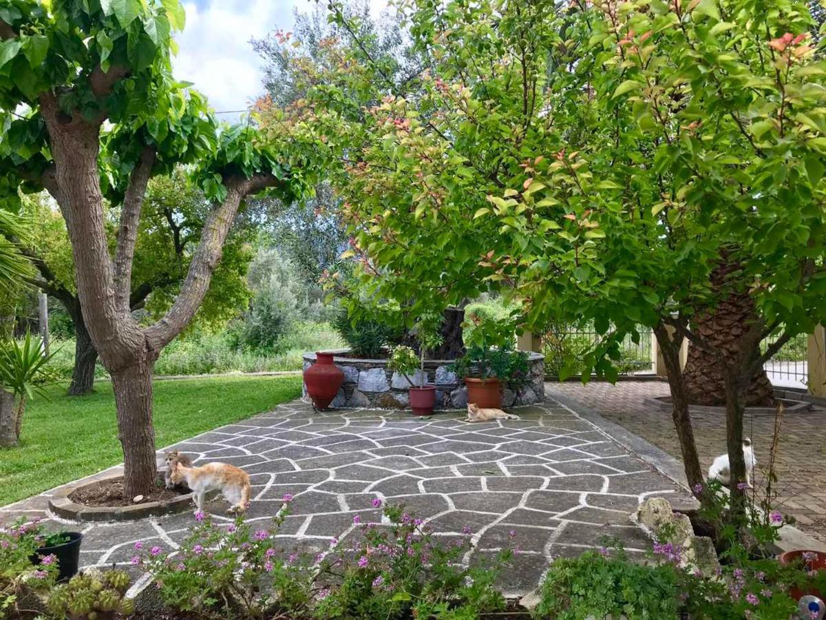Pansion Episkopi Studios Skopelos Exterior foto
