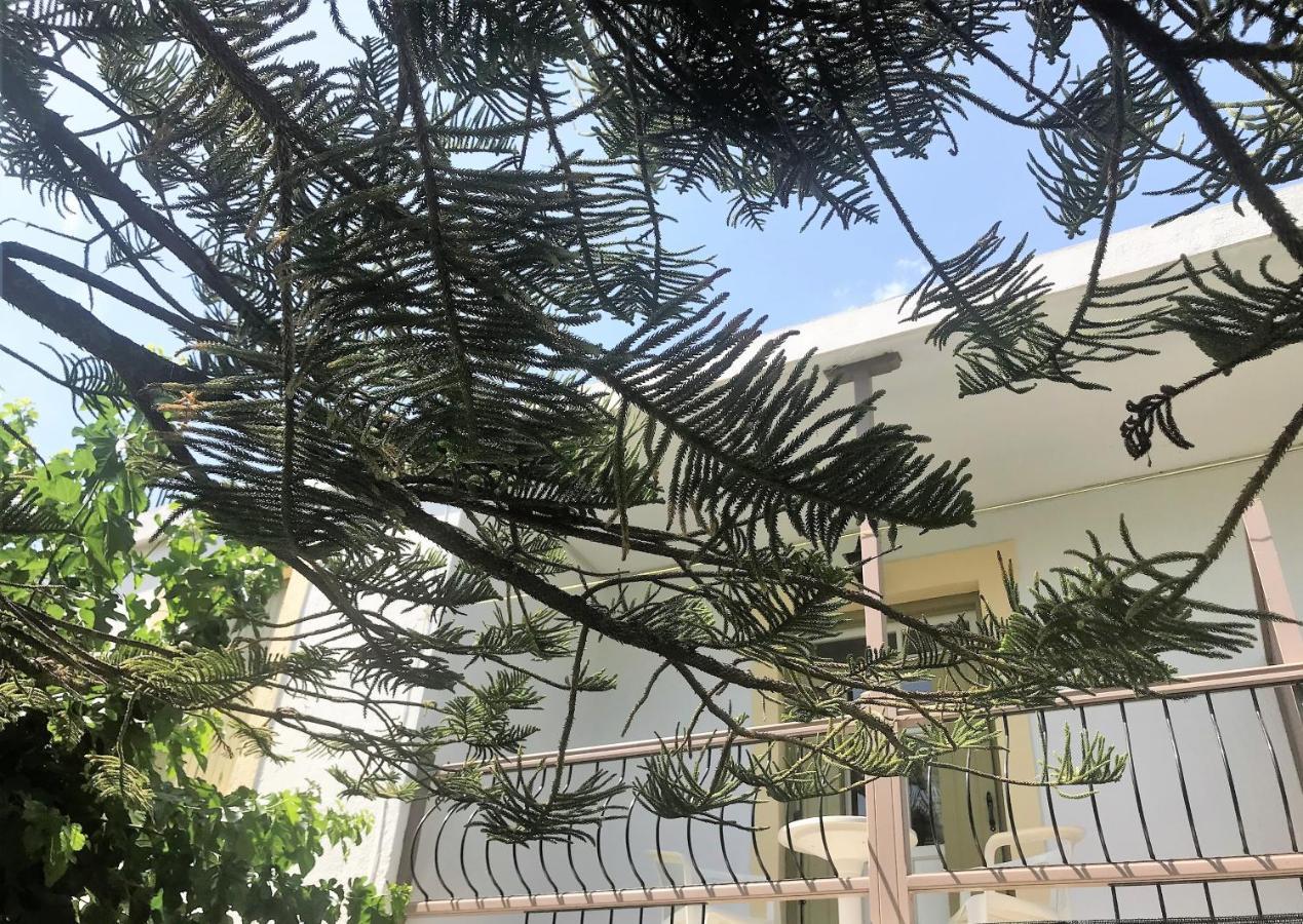 Pansion Episkopi Studios Skopelos Exterior foto