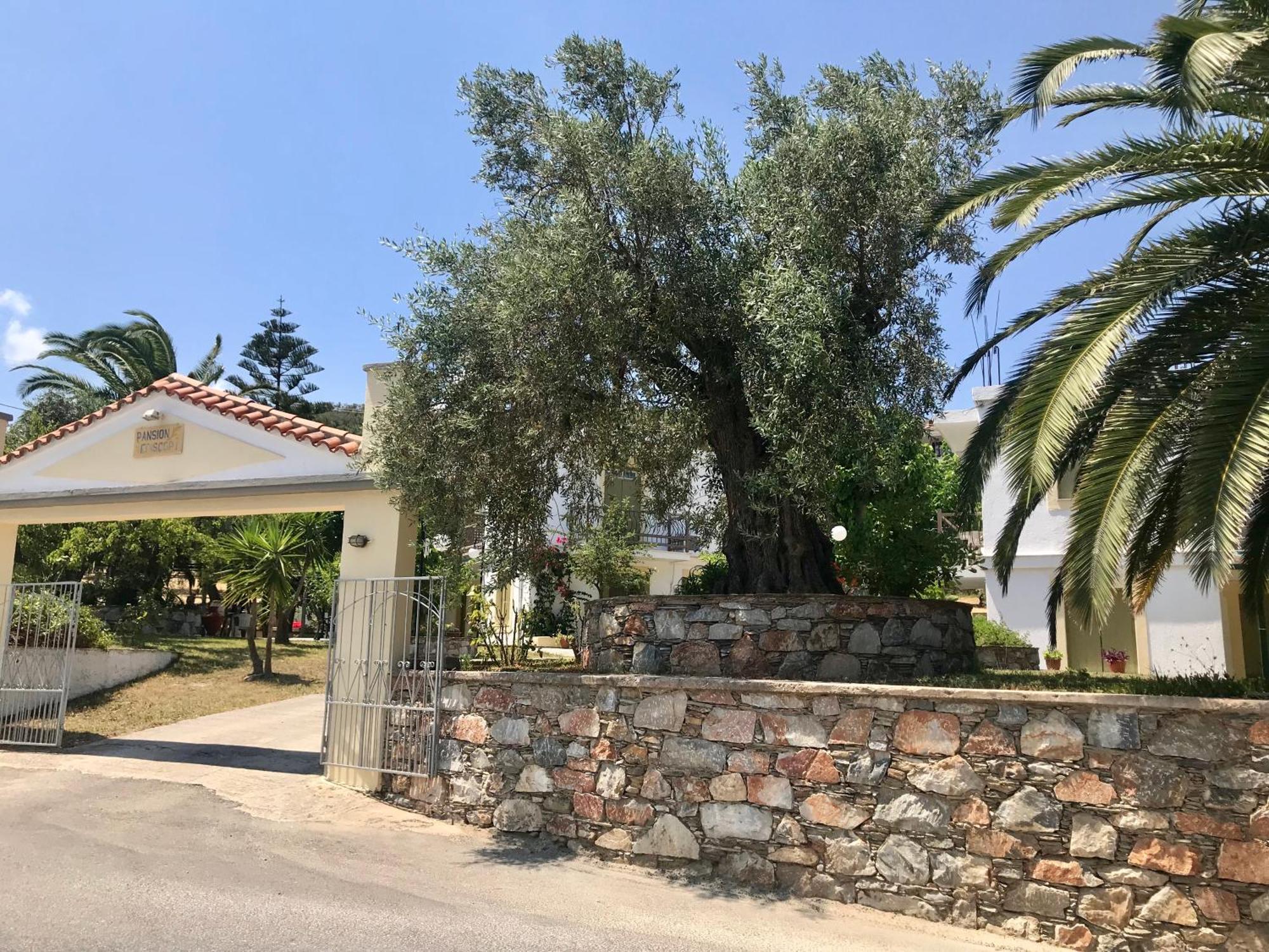 Pansion Episkopi Studios Skopelos Exterior foto
